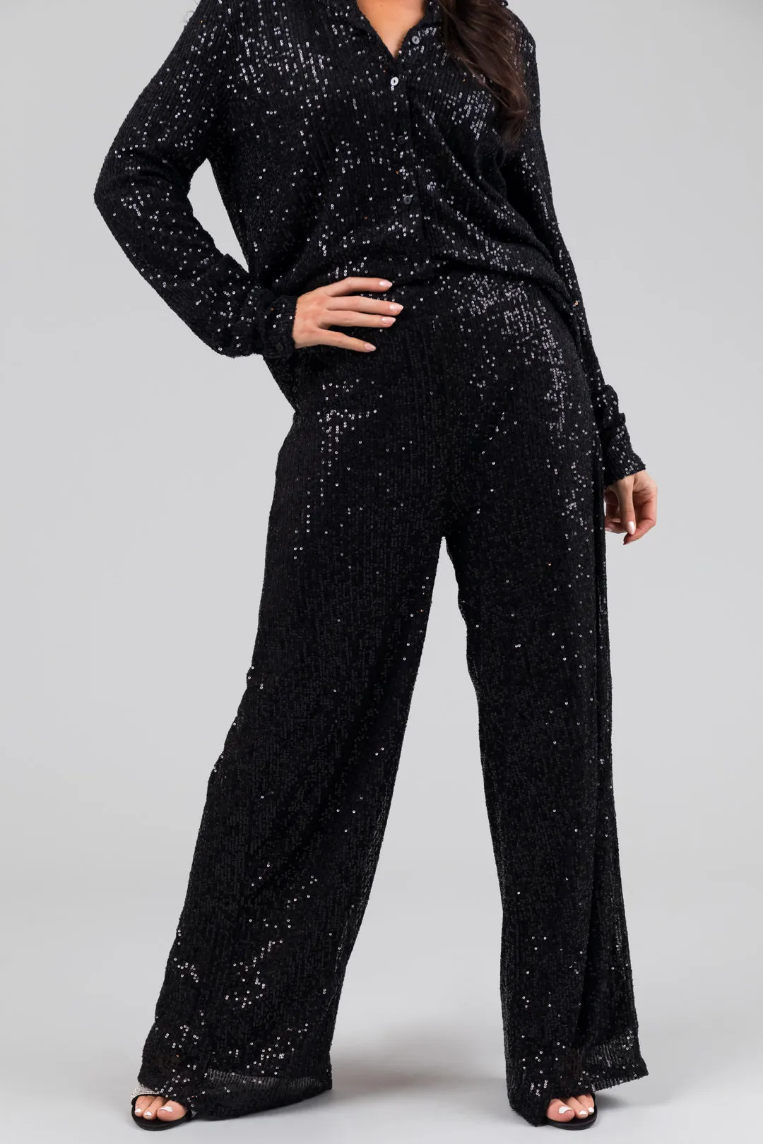 Black High Waisted Wide Leg Sequined Pants