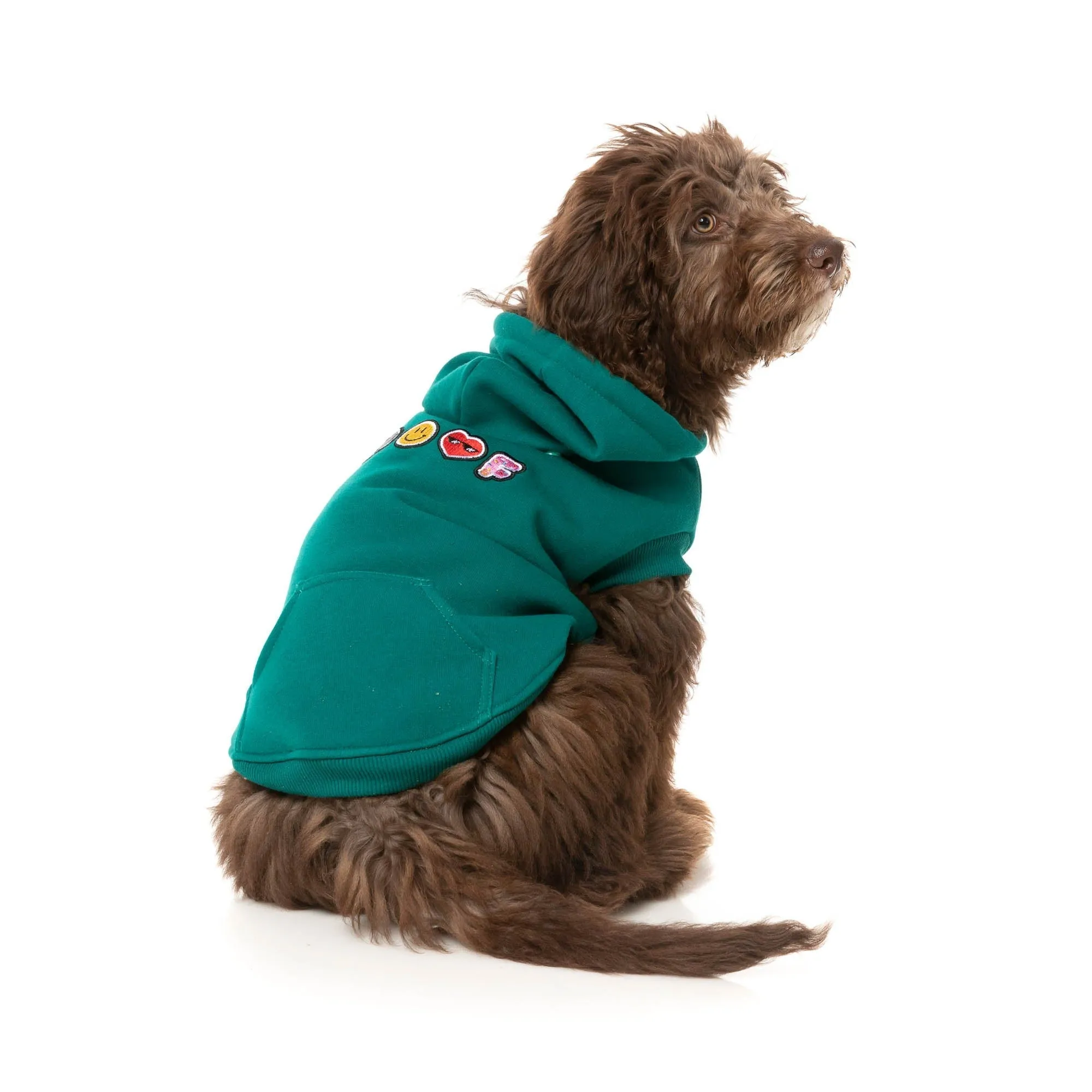 FuzzYard Dog Apparel Wooftagram Hoodie Green Size 1 XXSmall***